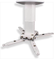 Spider_1.png