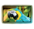 frame_led_active_240x135_hcx